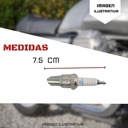 Bujia Ngk Para  Motocicleta 5422