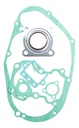 EMPAQUE JGO COMPLETO SUZUKI AX100 100CC=6505-010