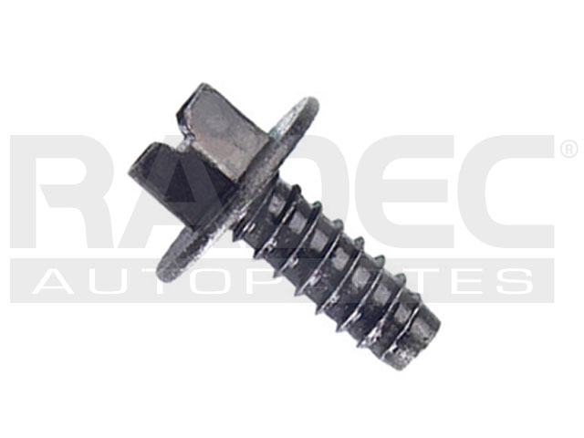 TORNILLO PORTA PLACA FD UNIV 1/4" X 5/8" CABEZA: 5/16" / RONDANA 5/8"